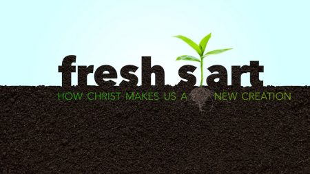 Fresh Start: How Christ Makes Us a New Creation Media Resources